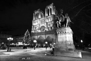 notre dame ace 1 bw sm.jpg